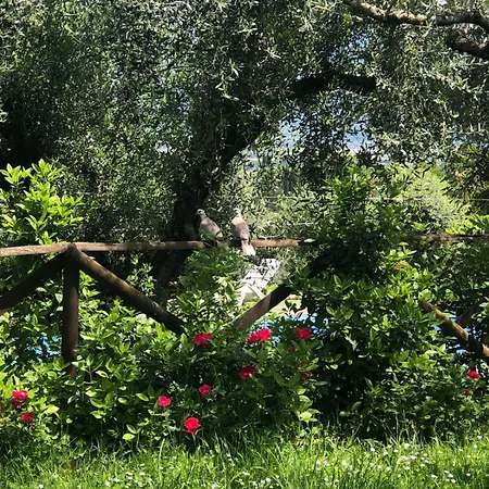 Country house Via Belvedere 50 *