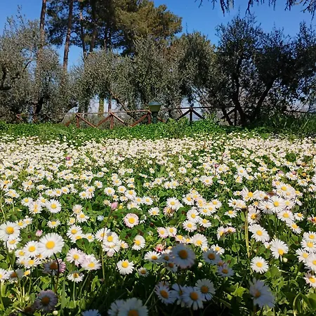 Via Belvedere 50